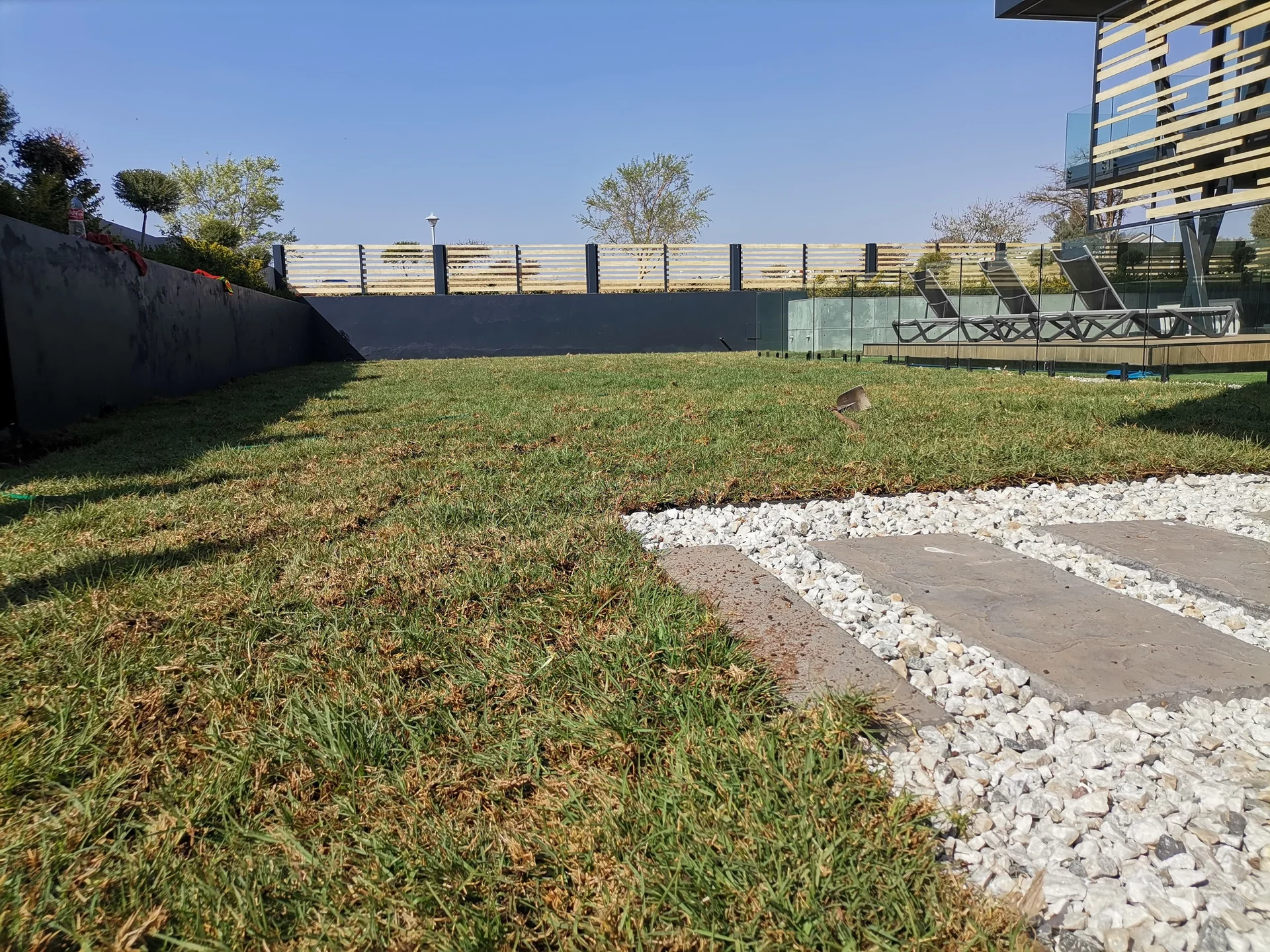 Beautiful backyard with lush green grass after professional lawn installation